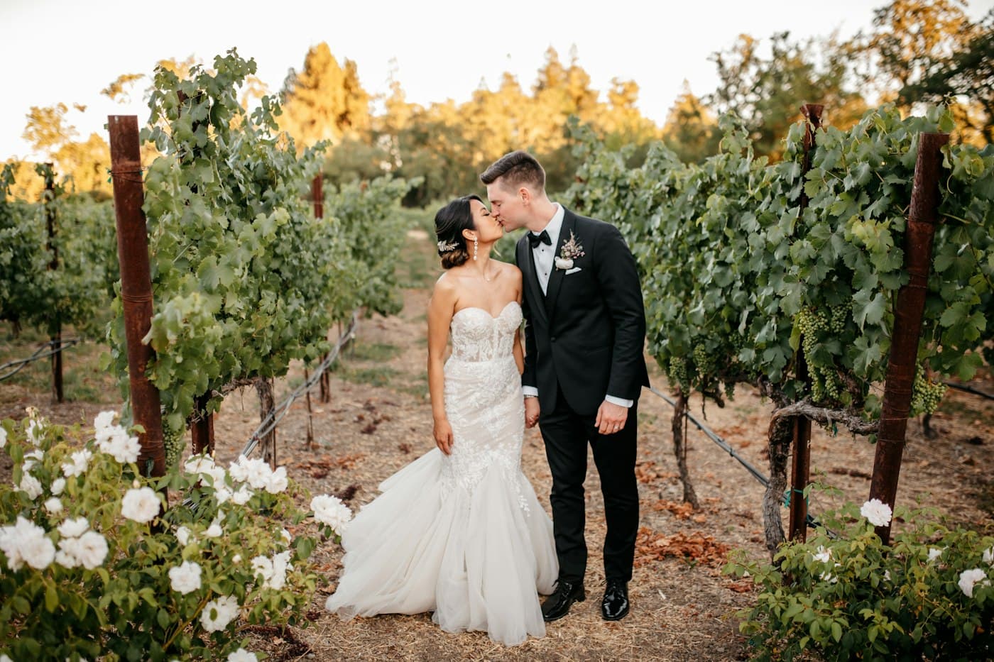 A bride and groom kissing between vineyard rows